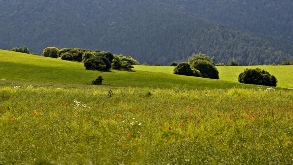 Penzion Mlynarov Dvor Dubrava 외부 사진